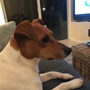 Meet your Posher, Tad